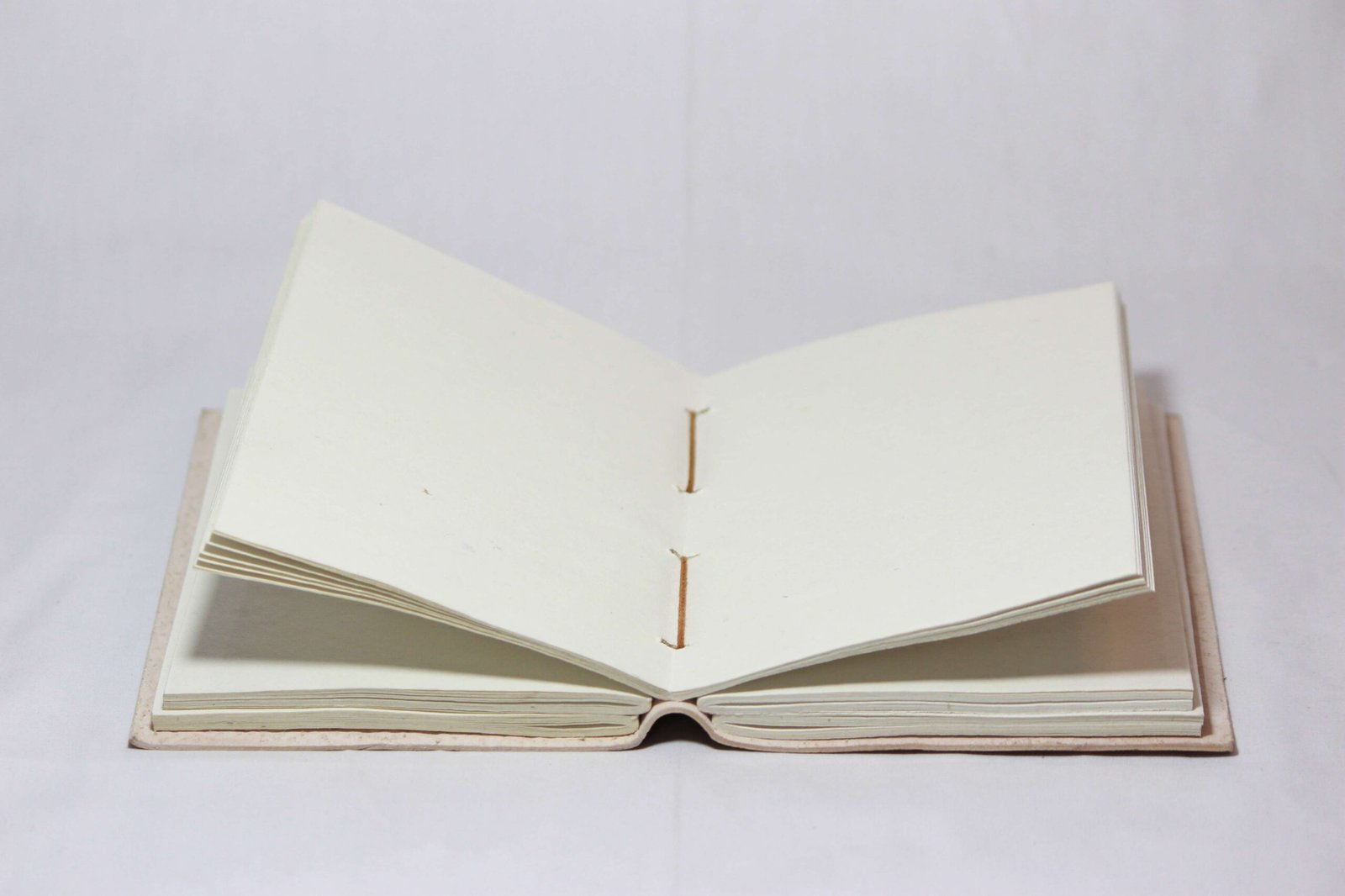 AEximp-scaled-1.jpg Diary - Image 5